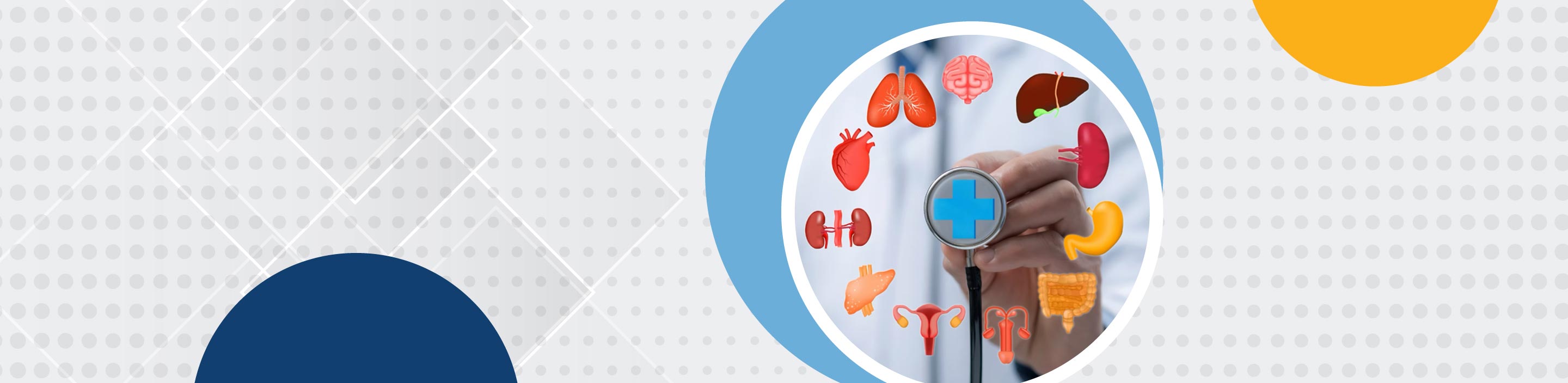 CUAAN - Cumbre de Actualidades en Alimentación y Nutrición