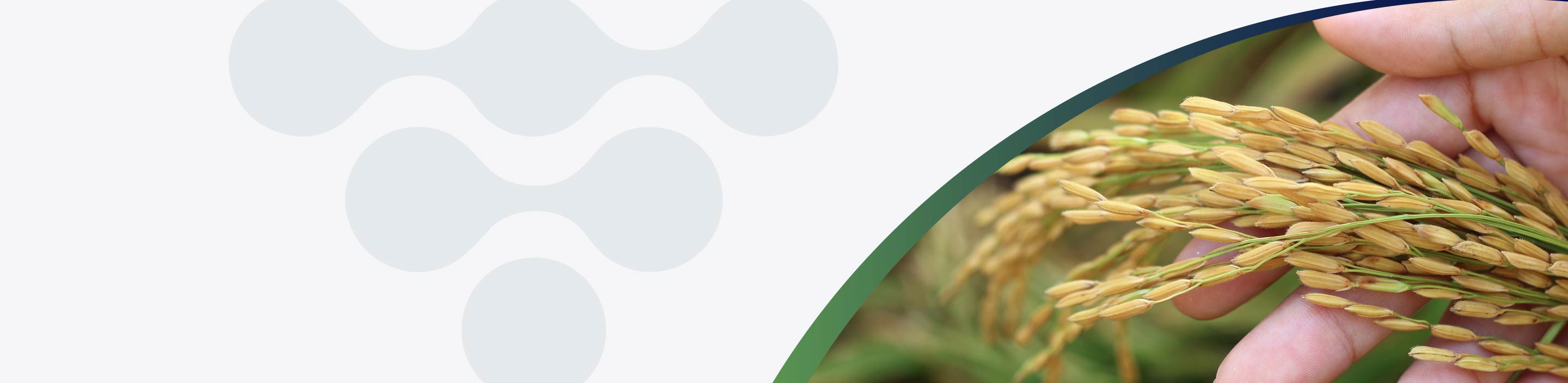 3o Summit 2025 Microbiota