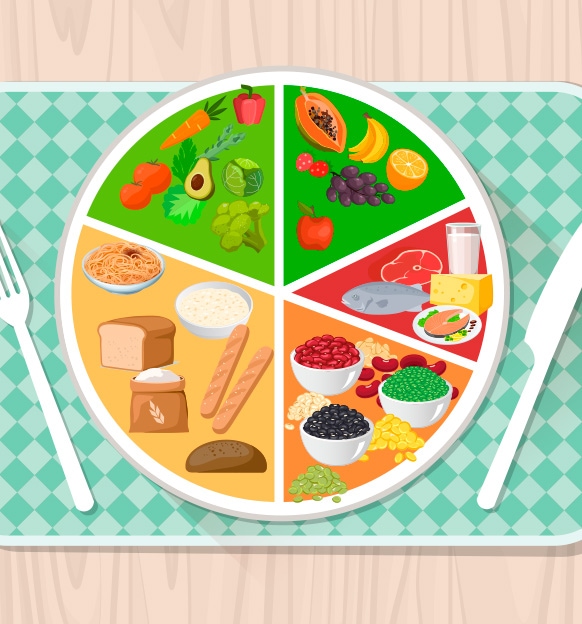 El plato del bien comer
