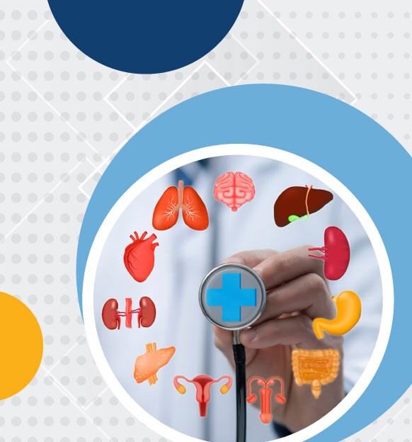 Cumbre de Actualidades en Alimentación y Nutrición