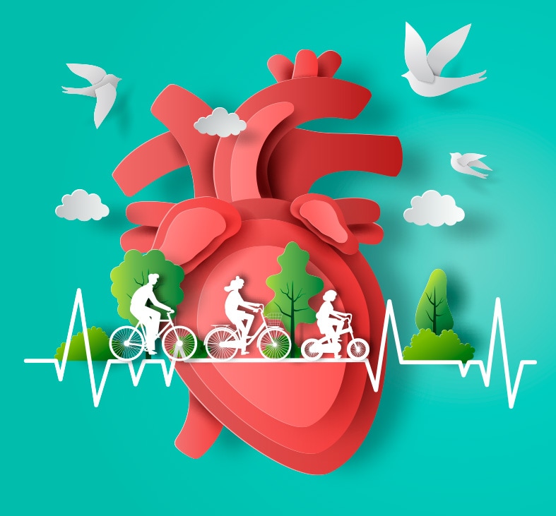 Salud Cardiovascular
