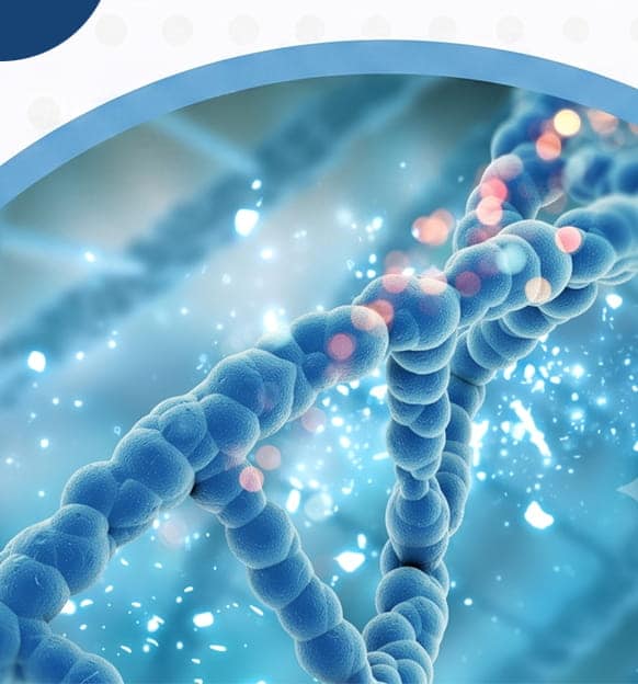 CUAAN - Cumbre de Actualidades en Alimentación y Nutrición 2026