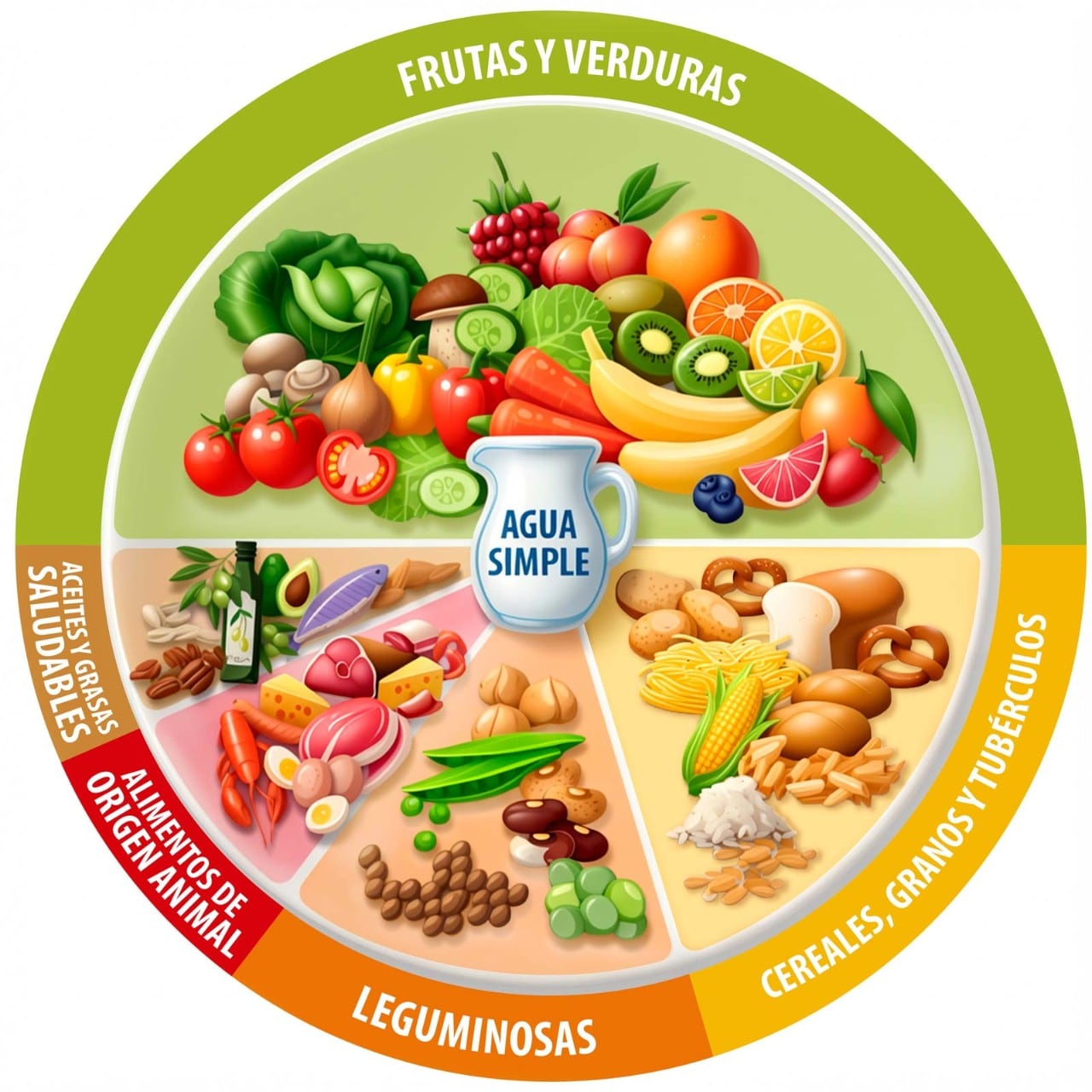 El plato del bien comer