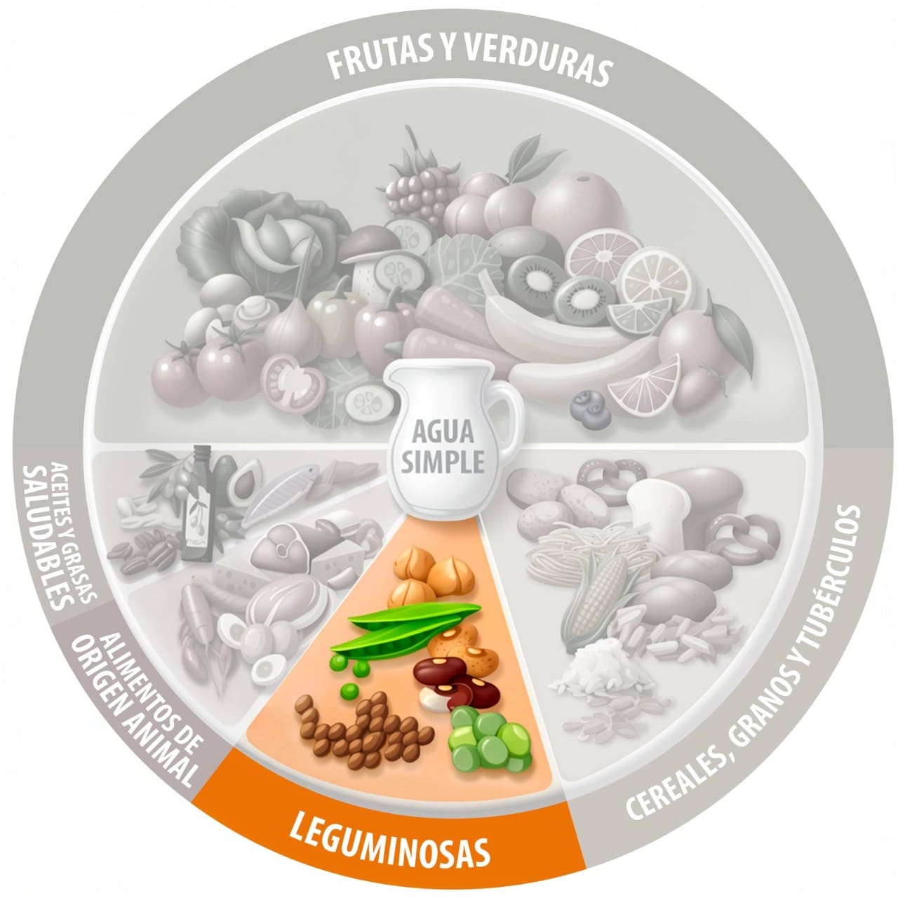 El plato del bien comer